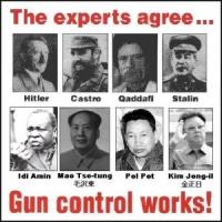 gun-control-works